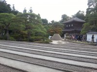 20121026_143910.jpg